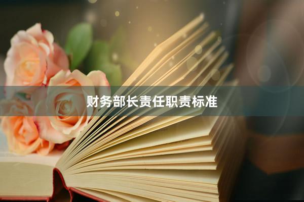 财务部长责任职责标准