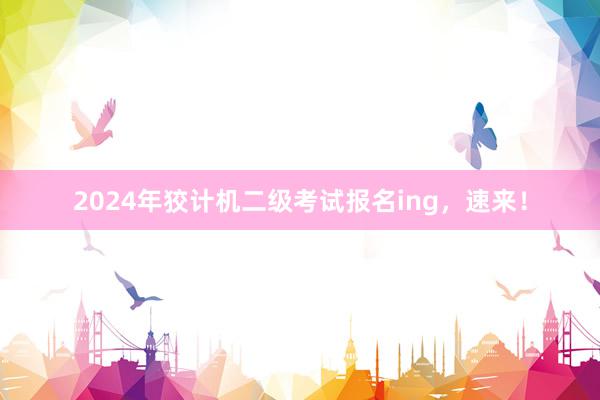 2024年狡计机二级考试报名ing，速来！