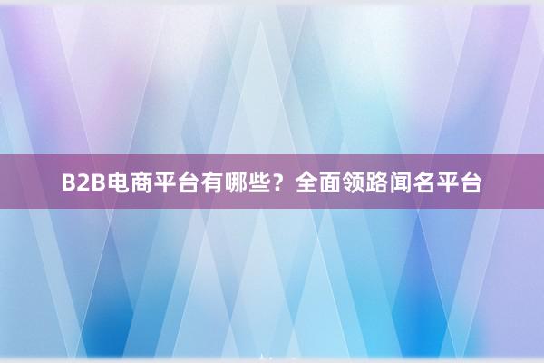 B2B电商平台有哪些？全面领路闻名平台