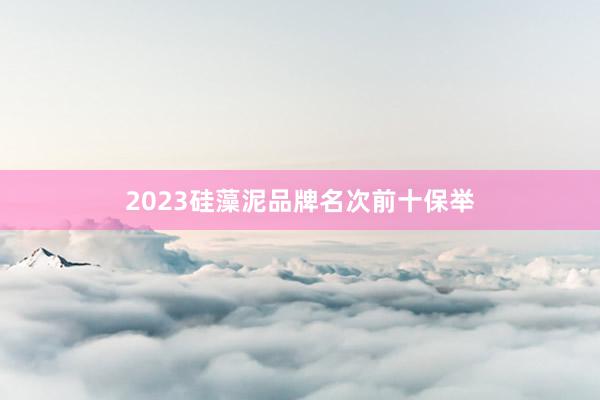 2023硅藻泥品牌名次前十保举