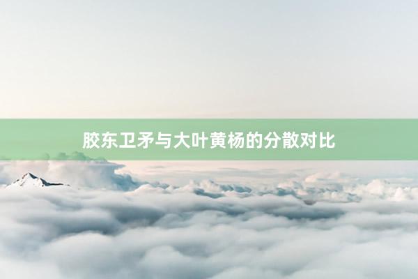 胶东卫矛与大叶黄杨的分散对比