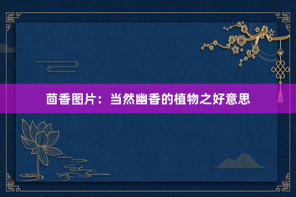 茴香图片：当然幽香的植物之好意思
