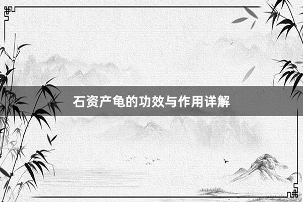 石资产龟的功效与作用详解