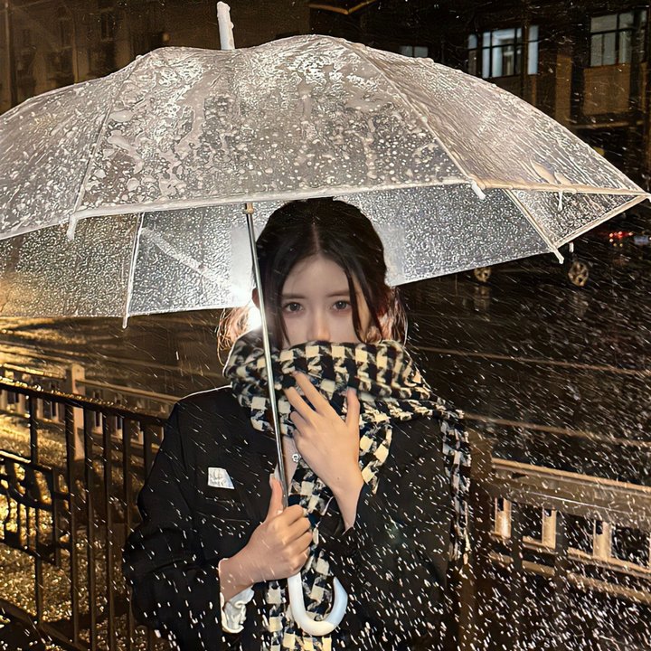 雪狼2006